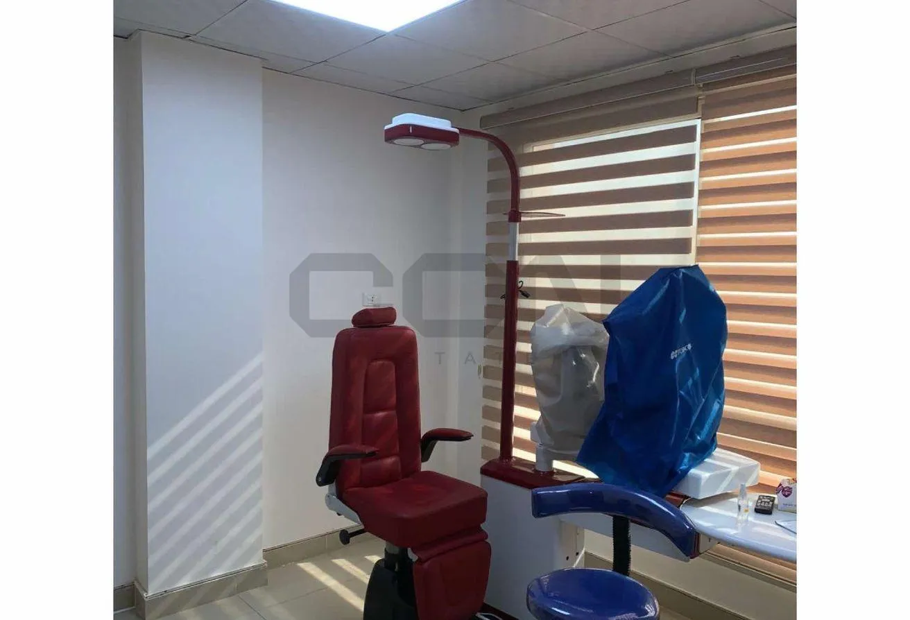 Gallery Image 5