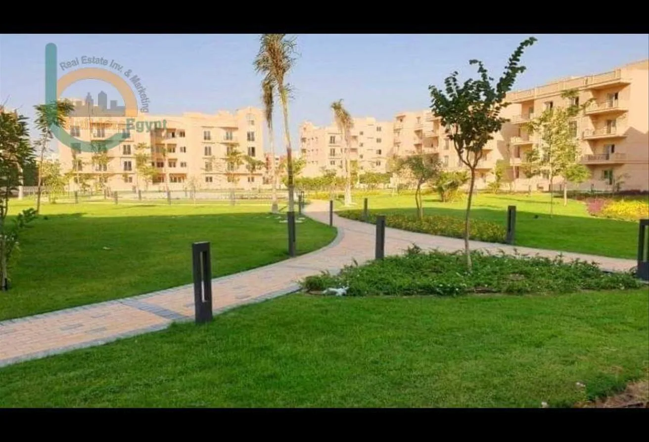 Gallery Image 12