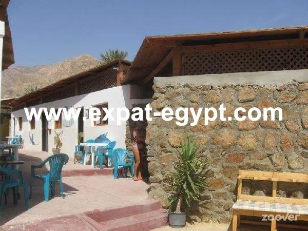 Gallery Image 11