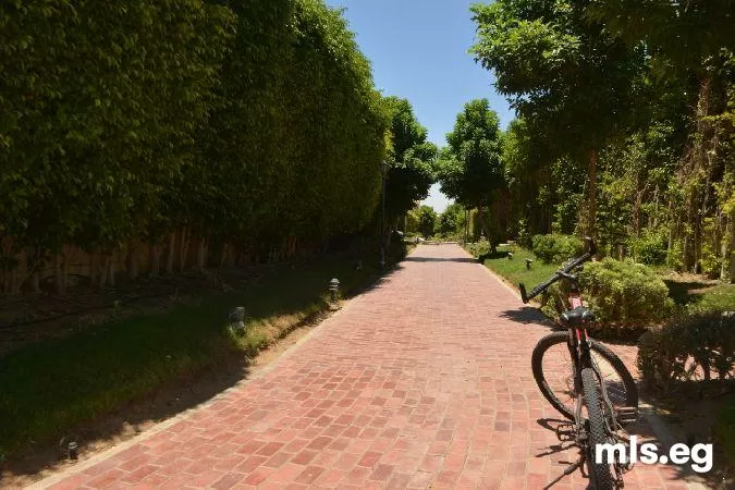 Sale in El Patio: Prime penthouse for sale in Patio Casa Compound