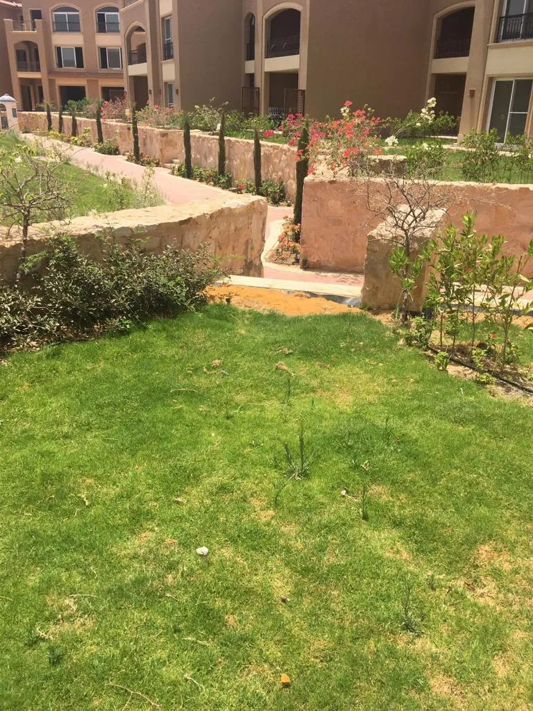 Gallery Image 8