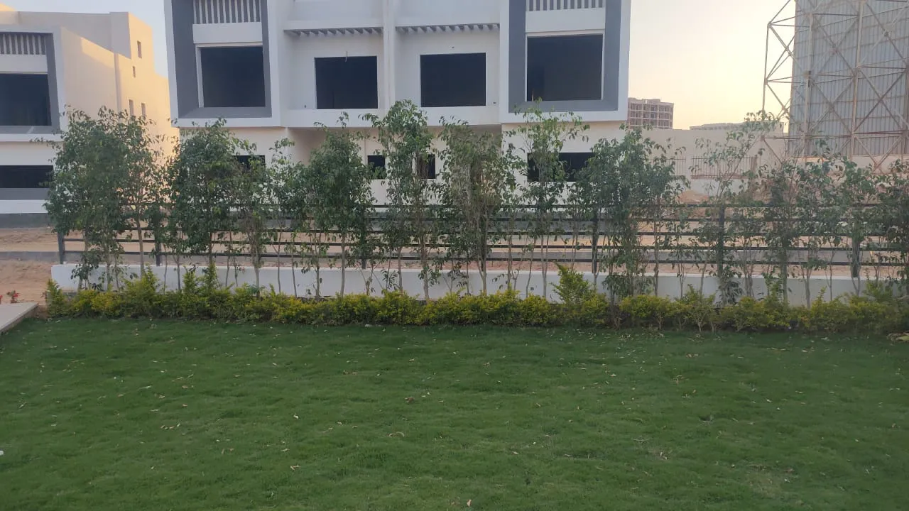 Gallery Image 13
