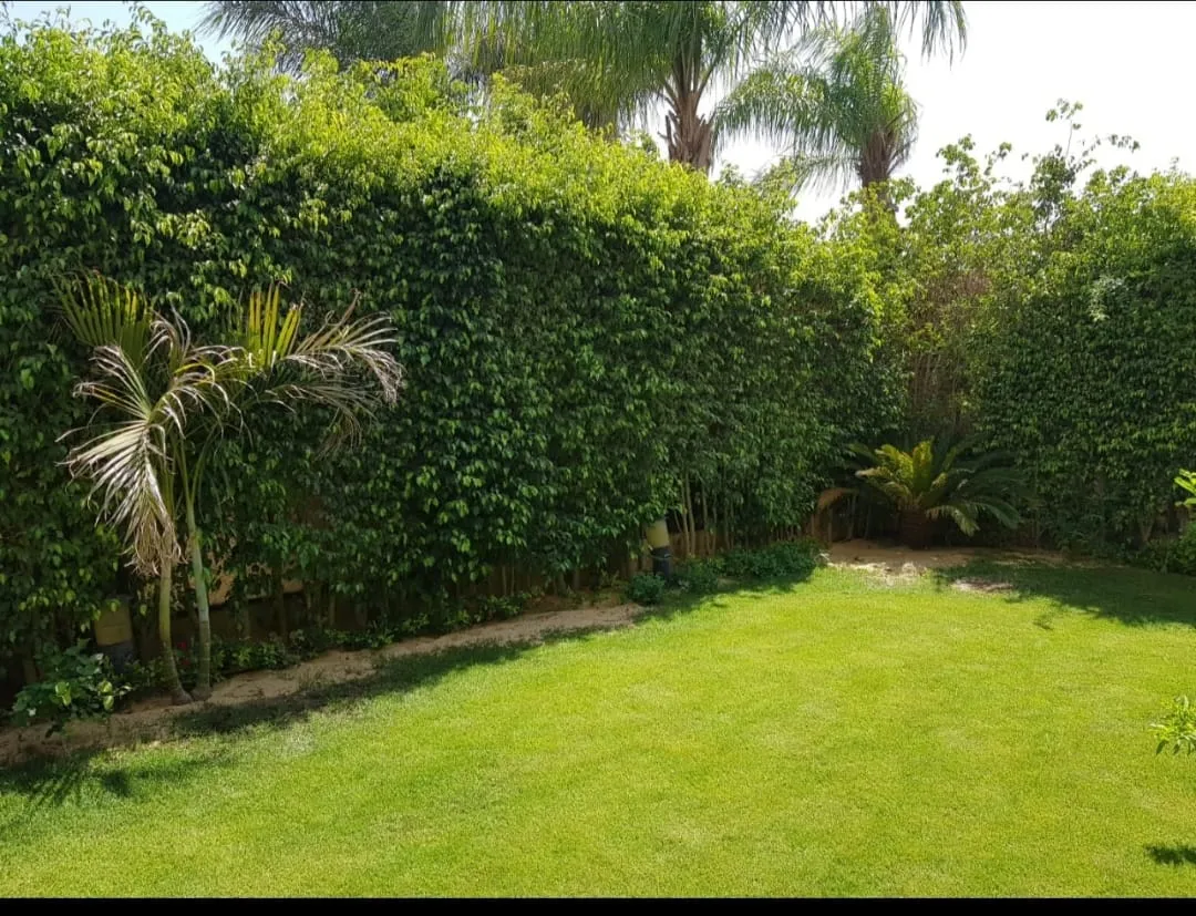 Gallery Image 16
