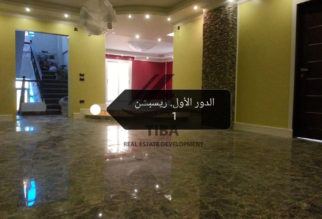Gallery Image 8