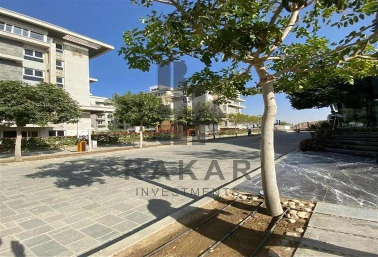 Gallery Image 6