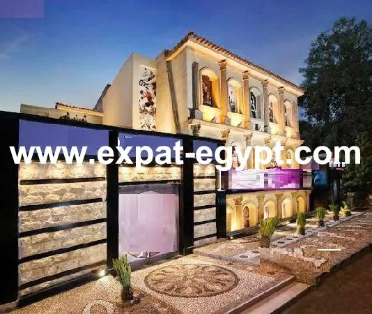 Commercial Villa for Sale in Dokki, Giza, Cairo, Egypt