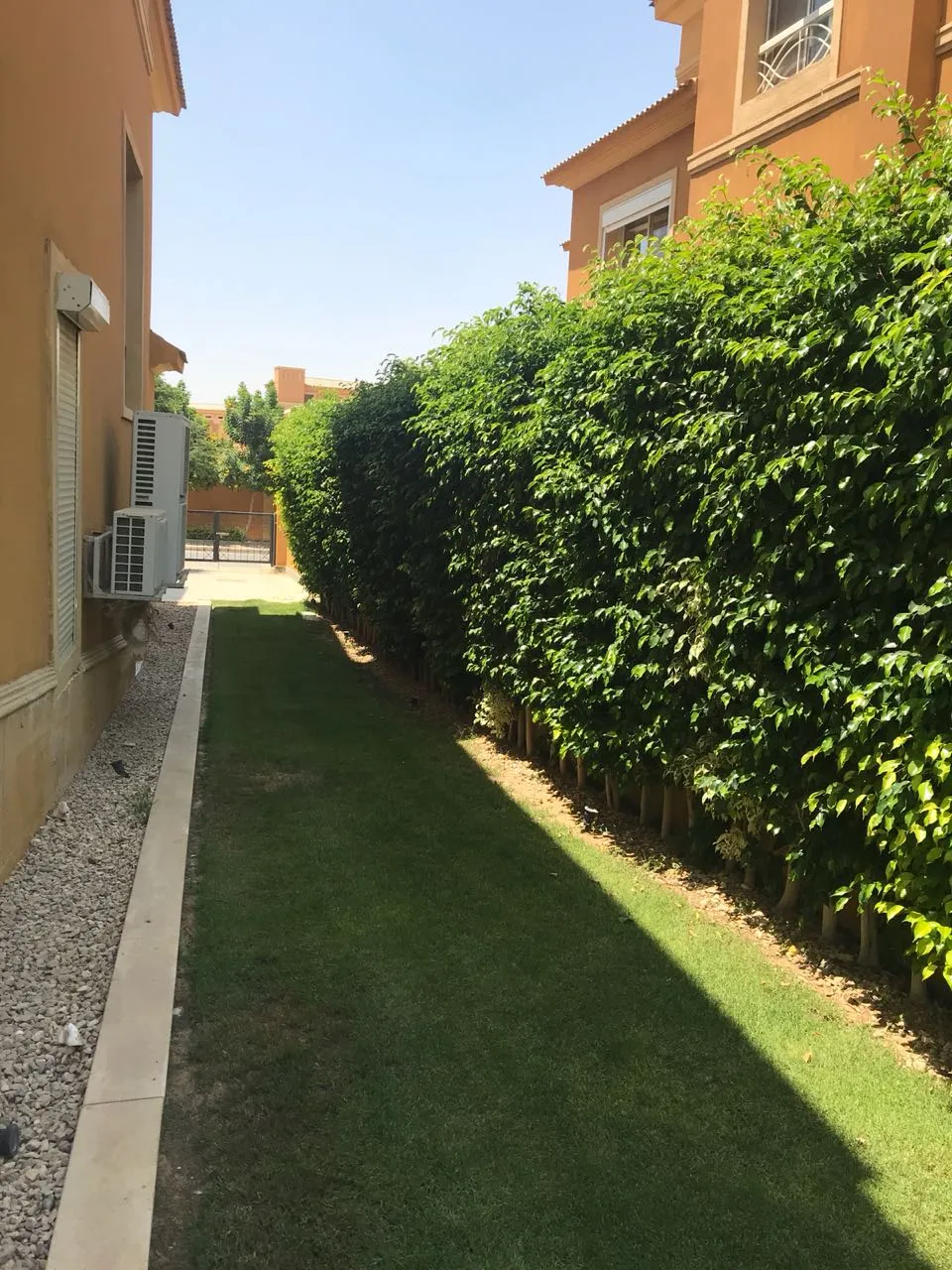 Gallery Image 10