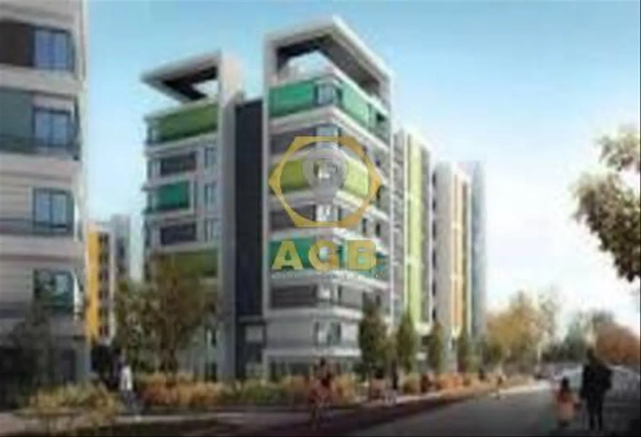 Gallery Image 9