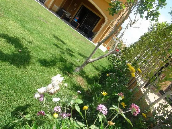 Gallery Image 14