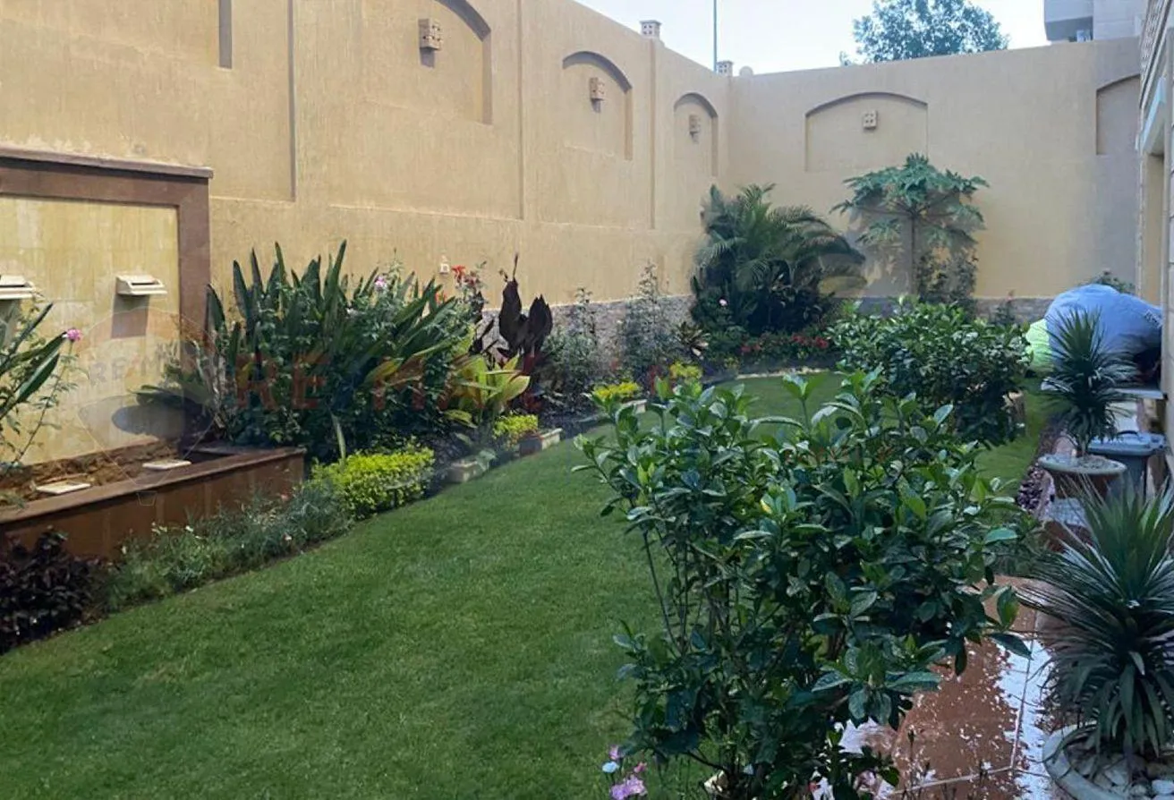 Gallery Image 7