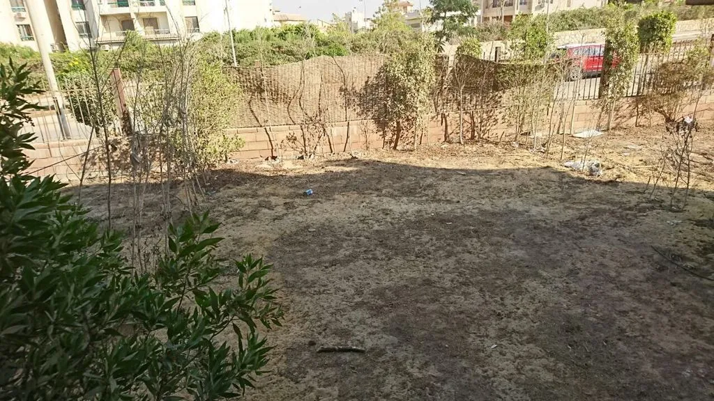 Gallery Image 12