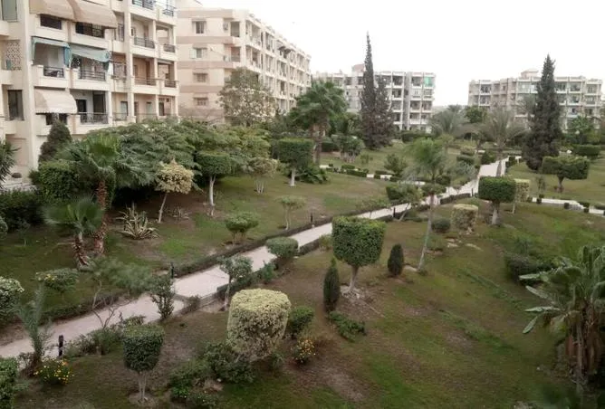 Sale in Zayed 2000: Family House Ready to move  NOW installments