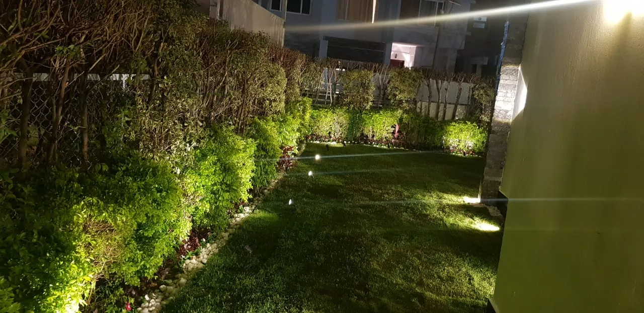 Gallery Image 11