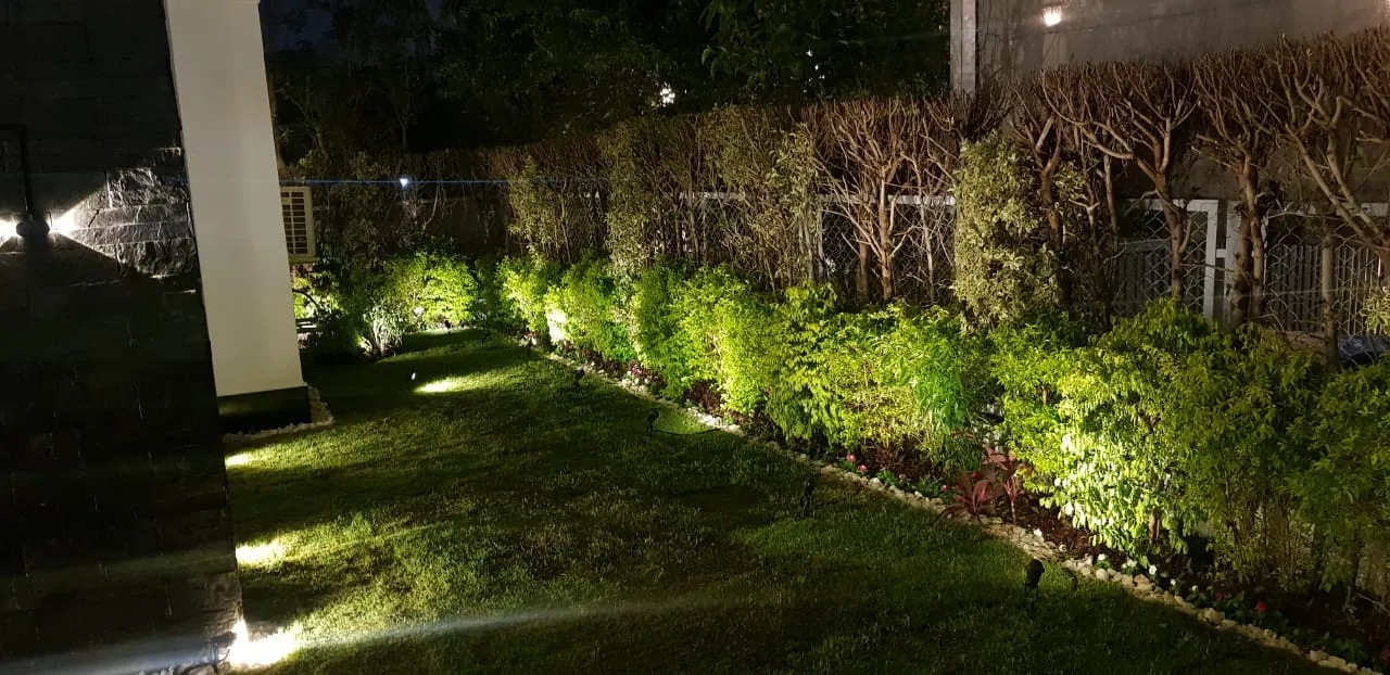 Gallery Image 31