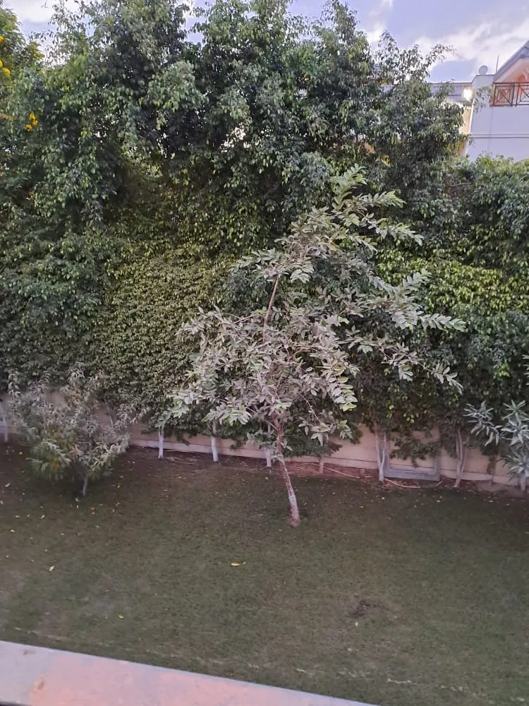 Gallery Image 50