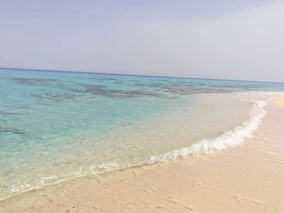 البيع في لا سيرينا ميني إيجيبت: شالية للبيع فى لاسيرينا ميني ايچيبت - متشطب بالفرش 