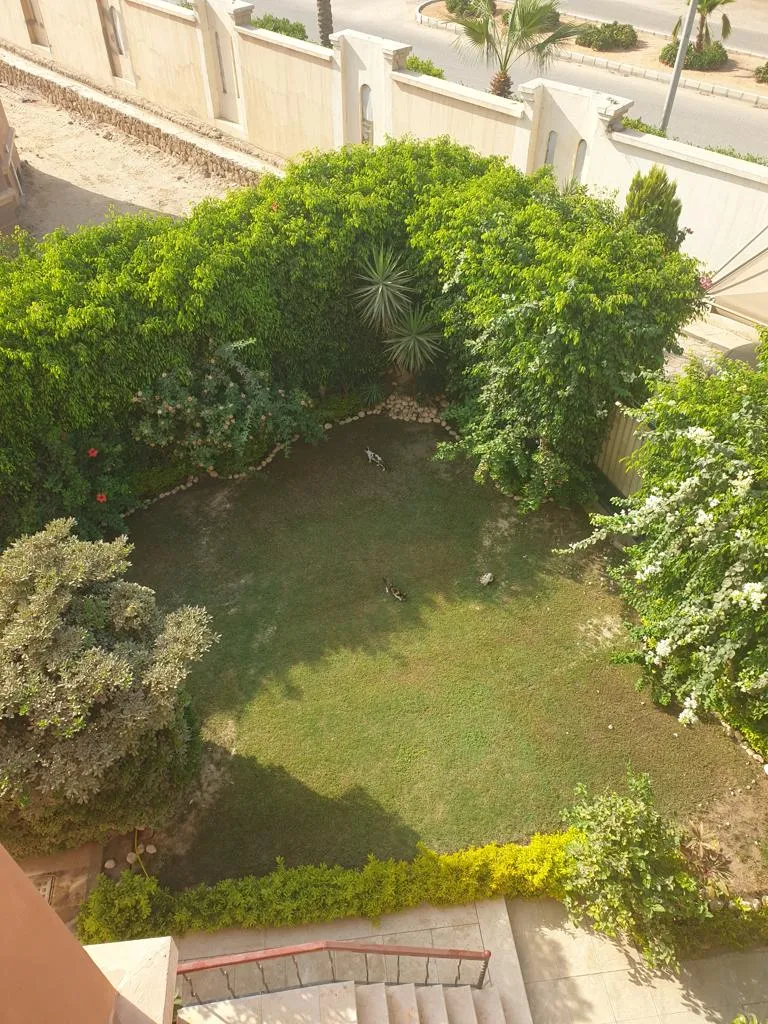 Gallery Image 28