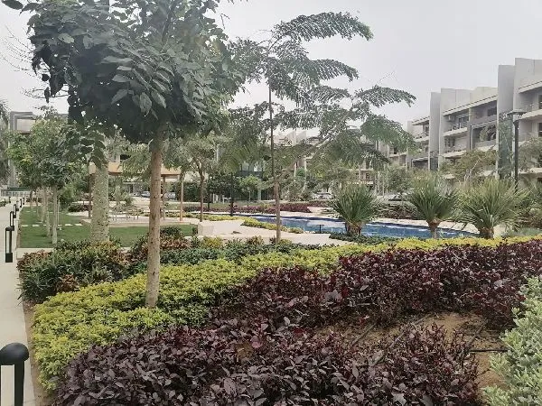 Gallery Image 8