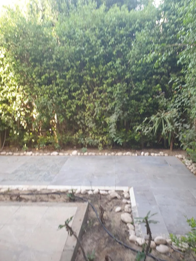 Gallery Image 21