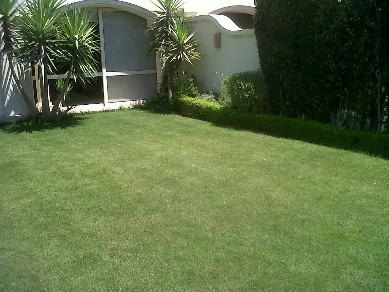 Gallery Image 8