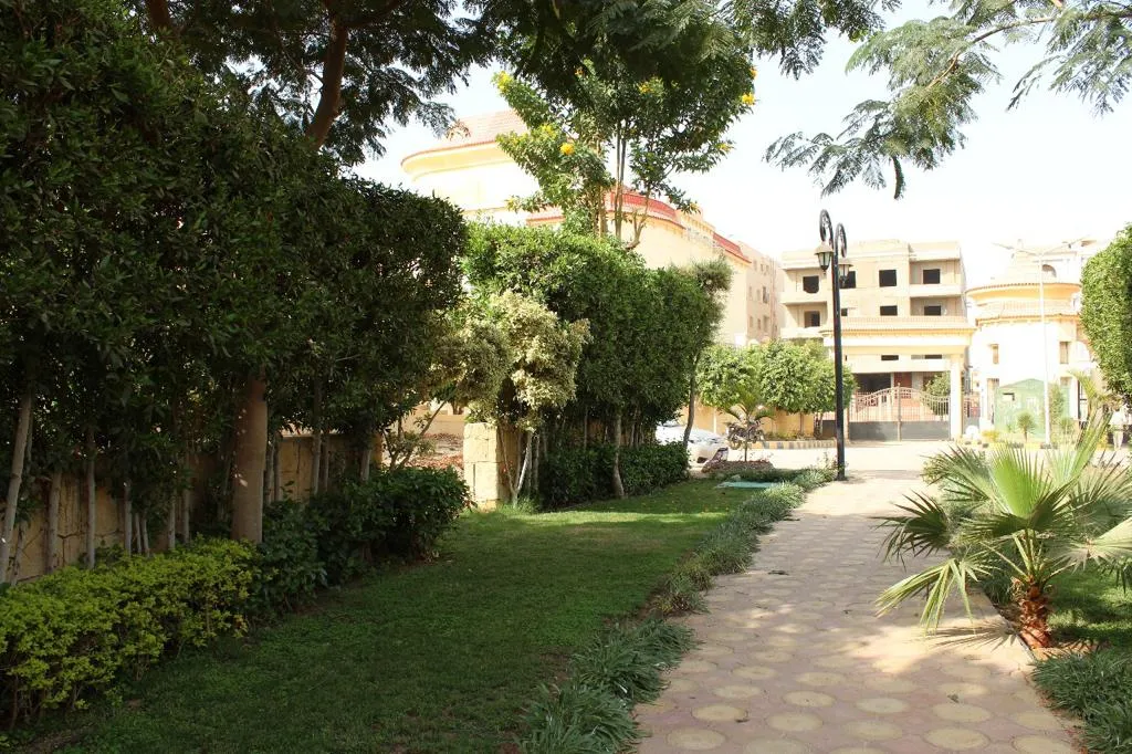 Gallery Image 6