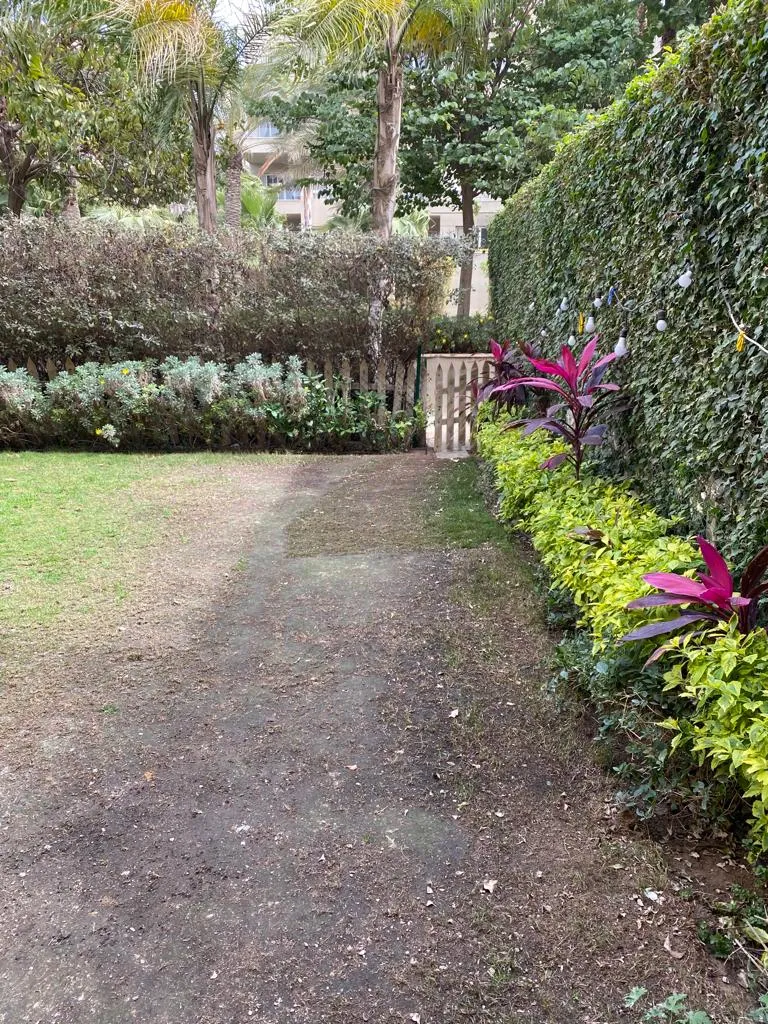 Gallery Image 14