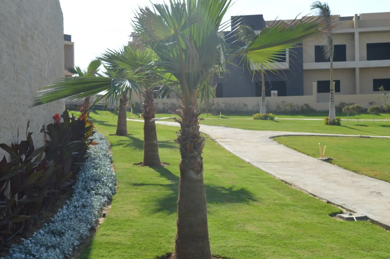 Gallery Image 9