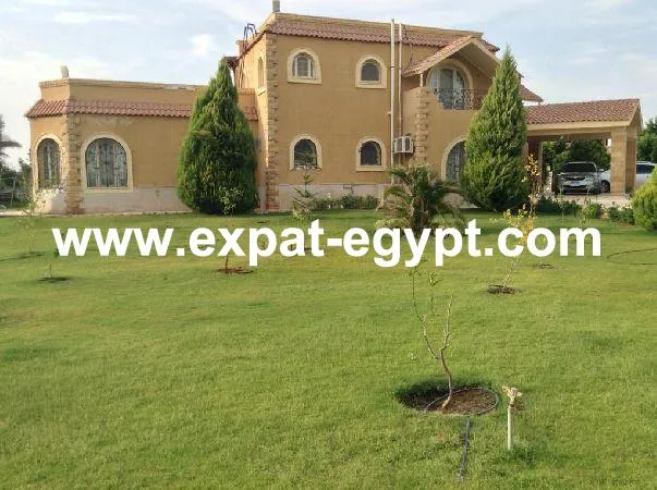 Gallery Image 14