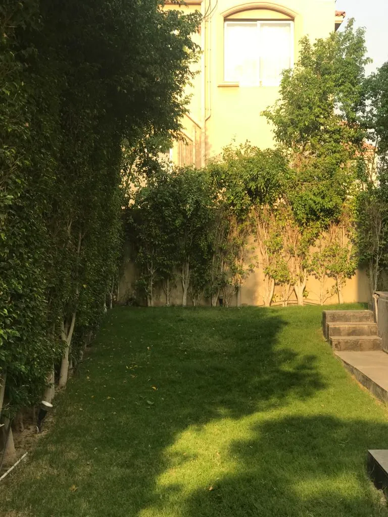 Gallery Image 10