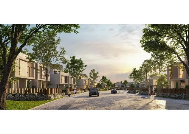 Gallery Image 10