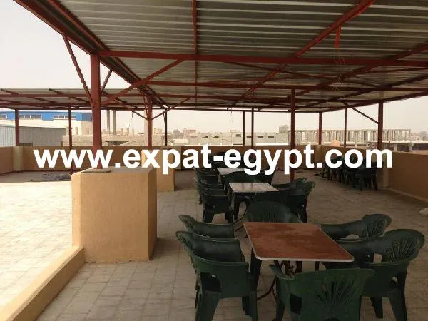 Gallery Image 11