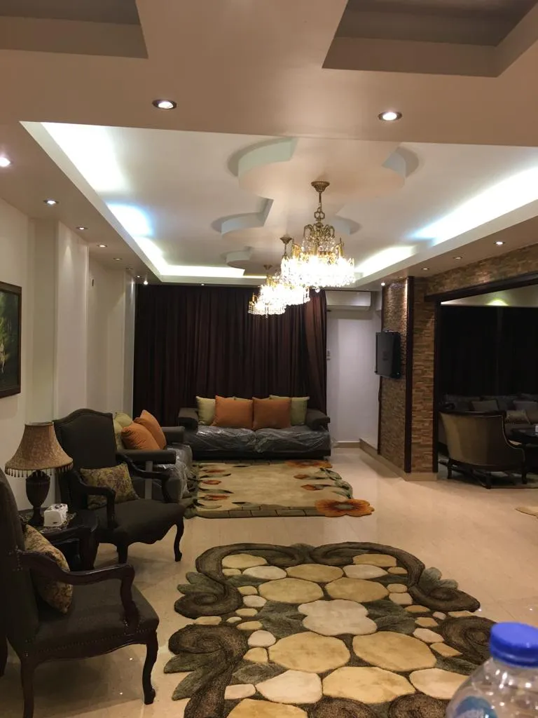 Fully furnished, air-conditioned,super-lux apartment for rent In DOKKI