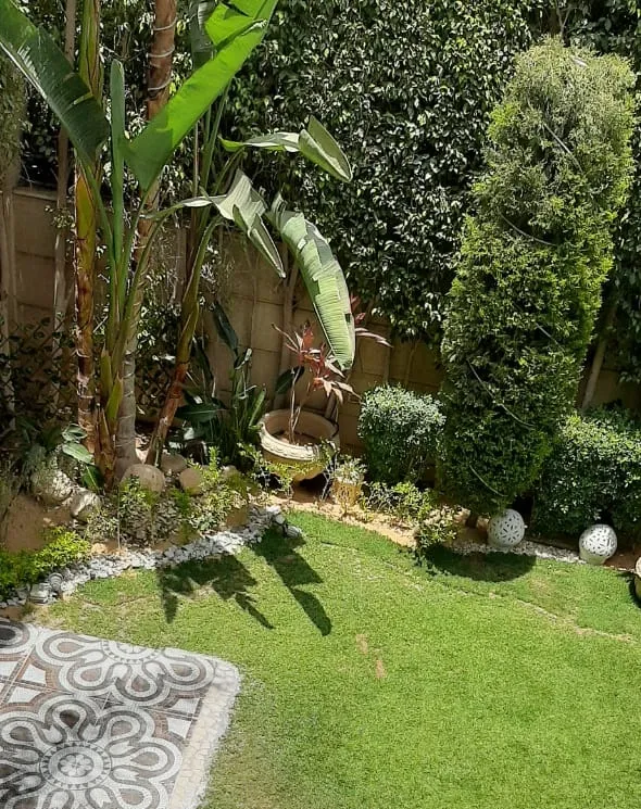 Gallery Image 6